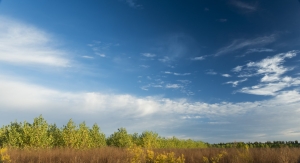 Andriaki Shipping and Arbor Day Carbon Partnered To Support Reforestation and Carbon Removal