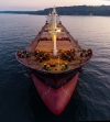 Environmental Defense Fund, LR and Ricardo launch report examining ecological impact of ammonia