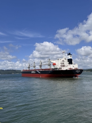 DryDel marks the delivery of its 13th vessel in its fleet